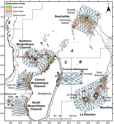 A Comprehensive Survey of Pelagic Megafauna: Their Distribution, Densities, and Taxonomic Richness in the Tropical Southwest Indian Ocean